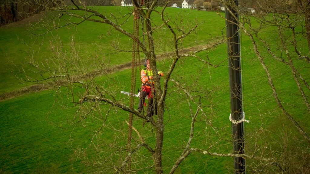 farming-and-forestry-services-by-drone-uav-logxon