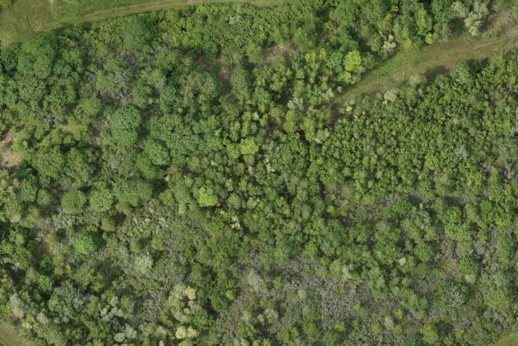 forestry-and-farming-use-of-drones-and-uavs