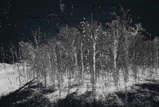Ergebnis-GeoSLAM-ZEB-HORIZON-3D-mobile-Scanner-Viewer-1-3D-Punktwolke-Wald-Forest-Laserscanning-Forstwirtschaft