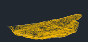 Dreiecksvermaschung-Volumenberechnung-Ergebnis-DGM-Erstellung-eines-Steinbruchs-aus-Drohnendaten