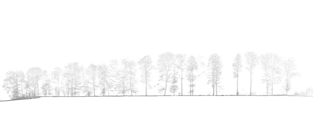 Screenshot-Schnitt-Punktwolke-Wald-Baum-Baeume-DGM-Digitales-Gelaendemodell-Wald-Waldboden-Daten-UAV-LiDAR-Befliegung-Begehung-von-einem-Waldgebiet-Bestimmung-von-Biomasse-Kohlenstoffgehalt