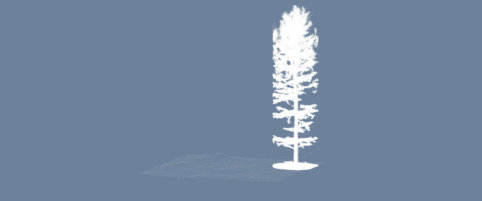 Screenshot-Punktwolke-Baum-DGM-Digitales-Gelaendemodell-Wald-Waldboden-Daten-UAV-LiDAR-Befliegung-Begehung-von-einem-Waldgebiet-Bestimmung-von-Biomasse-Kohlenstoffgehalt